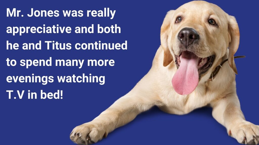 stairlifts for dogs
