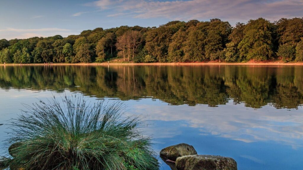 Accessible Leeds: Roundhay Park